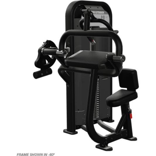 IMPACT TRICEPS EXTENSION