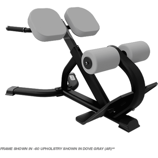 INSTINCT 45 DEGREE BACK EXTENSION BENCH
